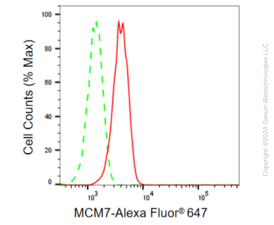 FC - KD-Validated Anti-MCM7 Rabbit Monoclonal Antibody AGI2296